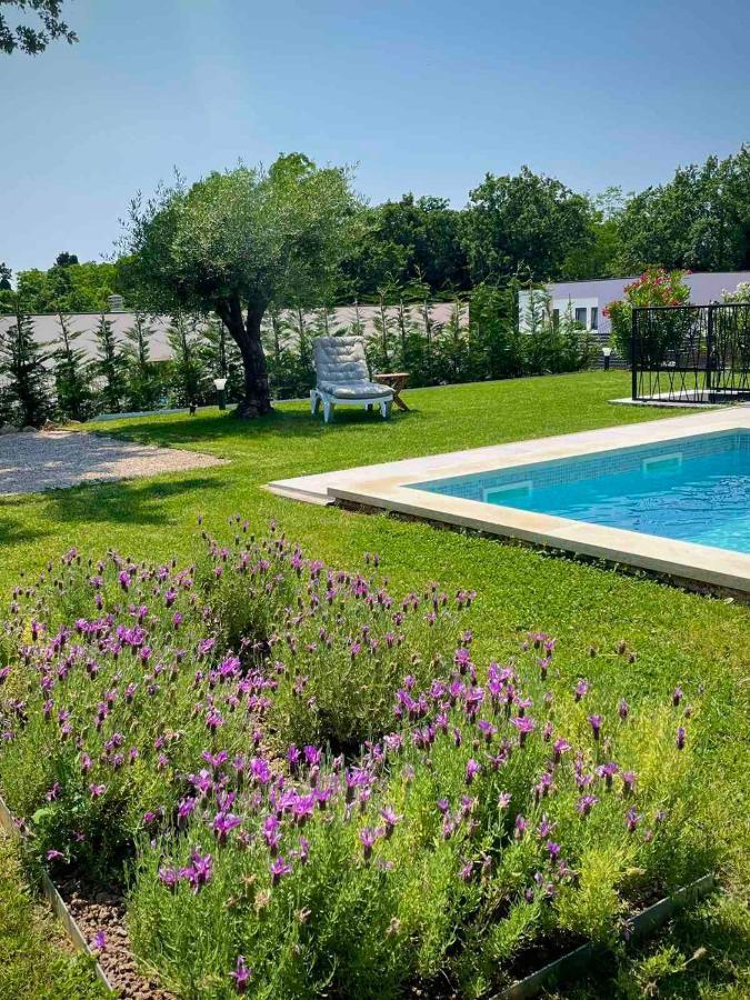Villa Destiny Nedescina, Istrien, Kroatien Exterior photo